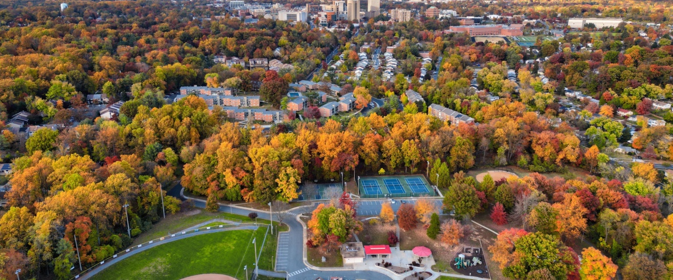 Best Pest Control Company in Rockville, MD: What to Look For