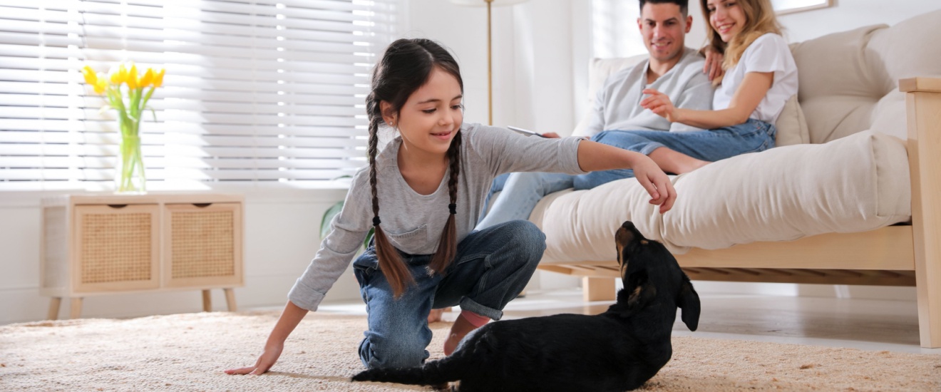 Are Pest Control Treatments Safe for Kids and Pets in Bethesda, MD?