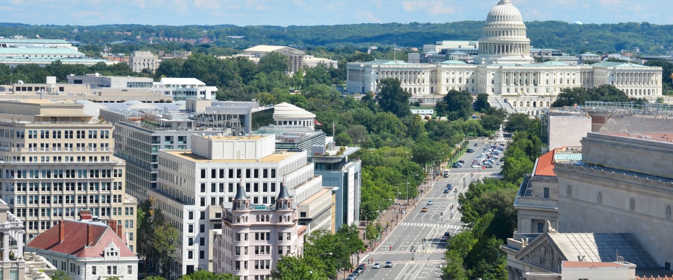 What Makes a Pest Control Company the Best Choice in the DMV Area?
