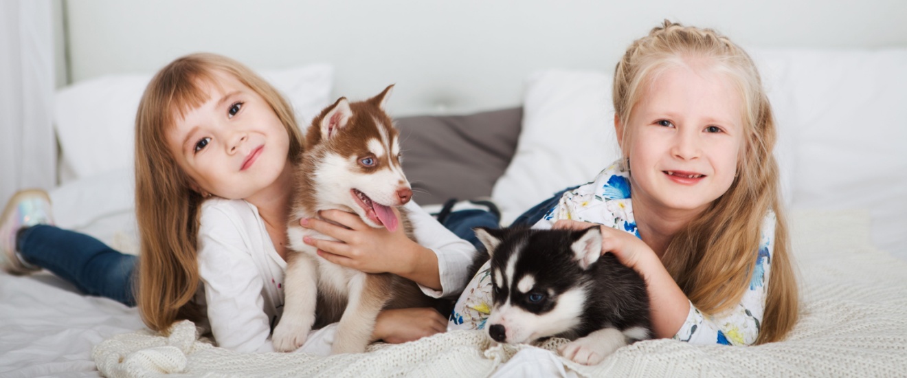 Pest Control for Homes with Children and Pets: What Homeowners Should Ask Before Hiring a Company